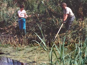 Pond maintenance