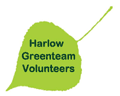 GreenTeam logo